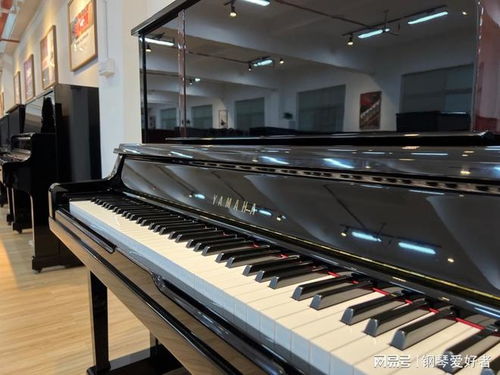 杭州买钢琴哪家好,杭州钢琴专卖店
